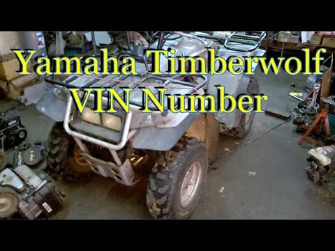 Yamaha Blaster Serial Number Lookup